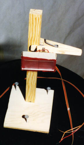 Detector Top View